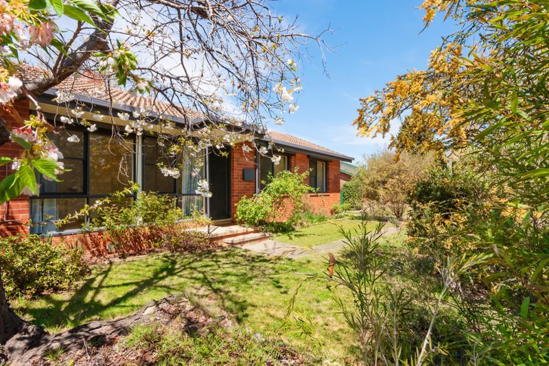 Photo - 23 Molesworth Street, Watson ACT 2602 - Image 2