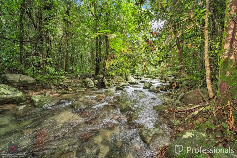 Photo - 23 Moretto Street, Babinda QLD 4861 - Image 27