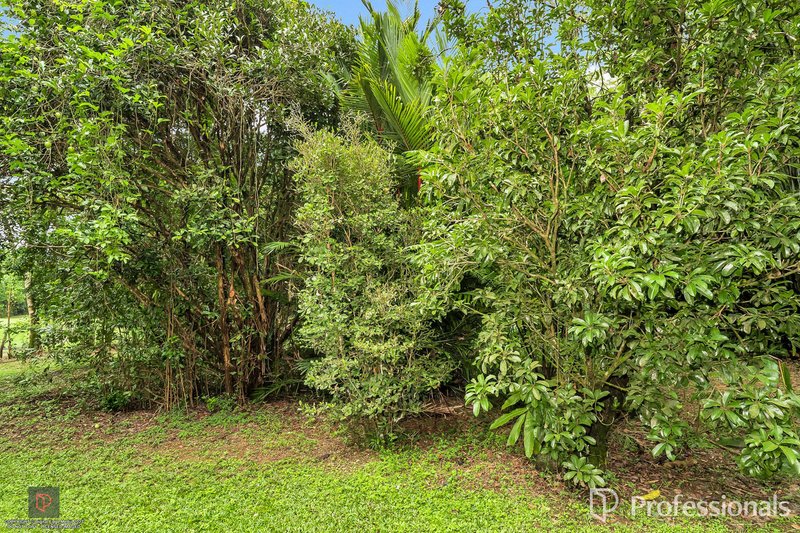 Photo - 23 Moretto Street, Babinda QLD 4861 - Image 29
