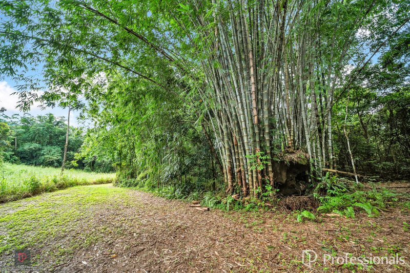 Photo - 23 Moretto Street, Babinda QLD 4861 - Image 33