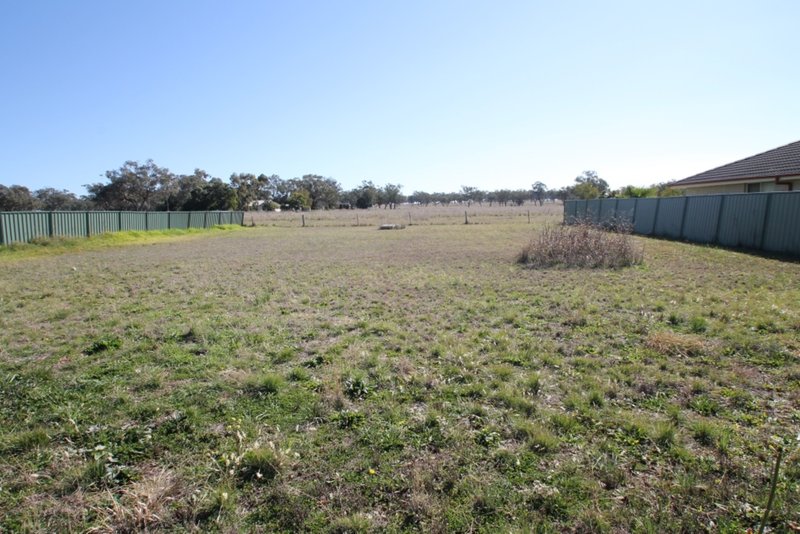 Photo - 23 Morning View Close, Quirindi NSW 2343 - Image 3