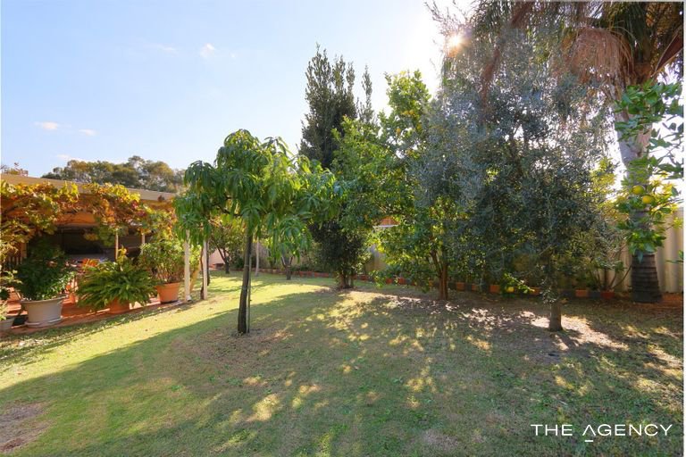 Photo - 23 Morton Loop, Canning Vale WA 6155 - Image 3