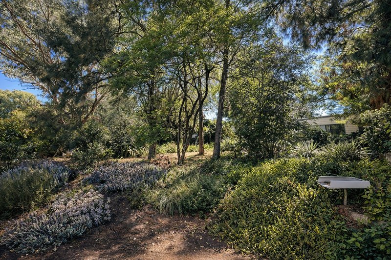 Photo - 23 Myrene Avenue, Tamworth NSW 2340 - Image 12