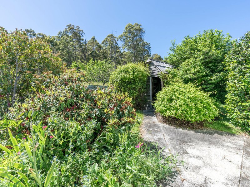 Photo - 23 Newman Street, St Marys TAS 7215 - Image 15