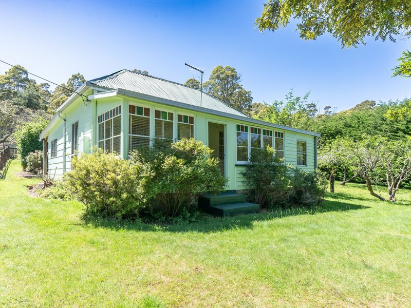 Photo - 23 Newman Street, St Marys TAS 7215 - Image 24