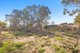 Photo - 23 Nirta Drive, Murrumbateman NSW 2582 - Image 22