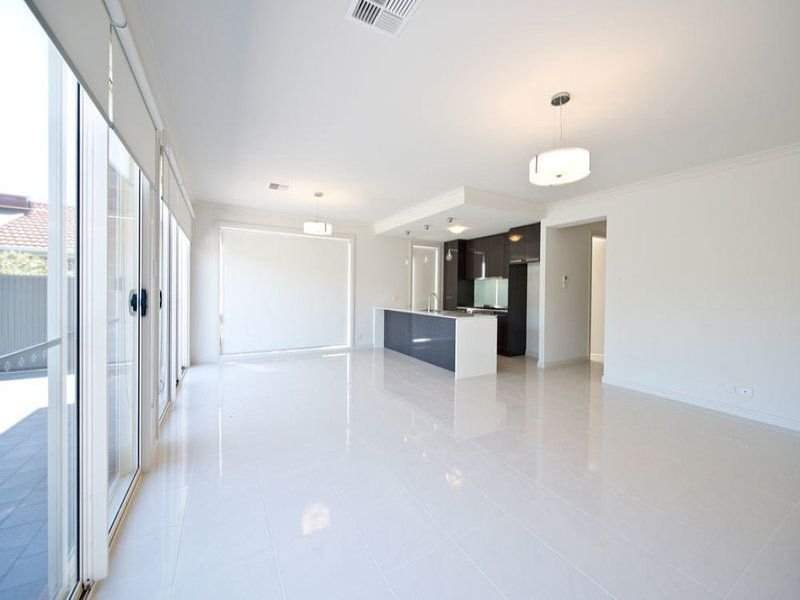 Photo - 23 Ormond Avenue, Daw Park SA 5041 - Image 3