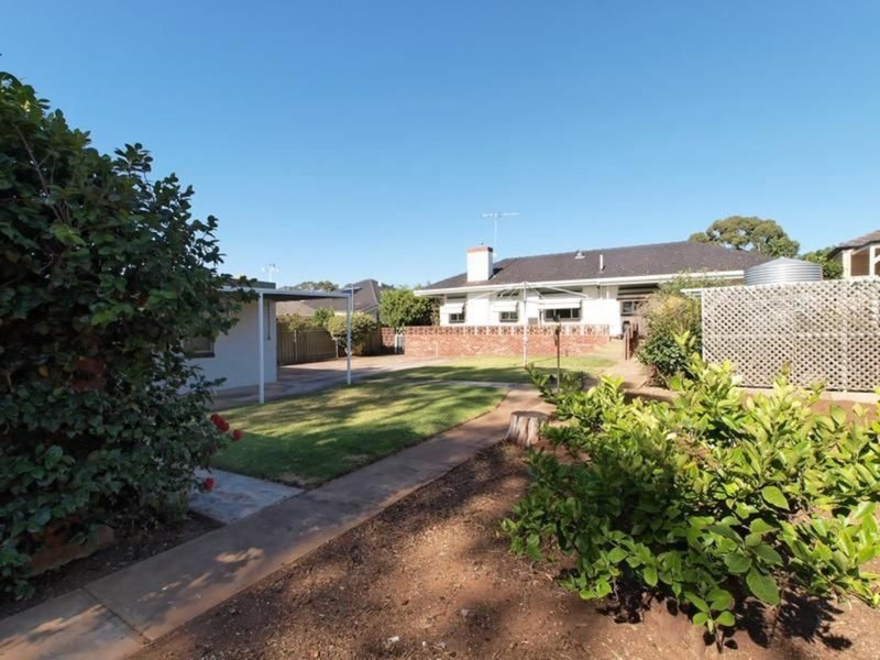 Photo - 23 Rowland Road, Magill SA 5072 - Image 14