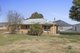 Photo - 23 Settlement Road, Tintaldra VIC 3708 - Image 19