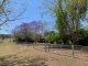 Photo - 23 Siratro Court, Veresdale Scrub QLD 4285 - Image 6