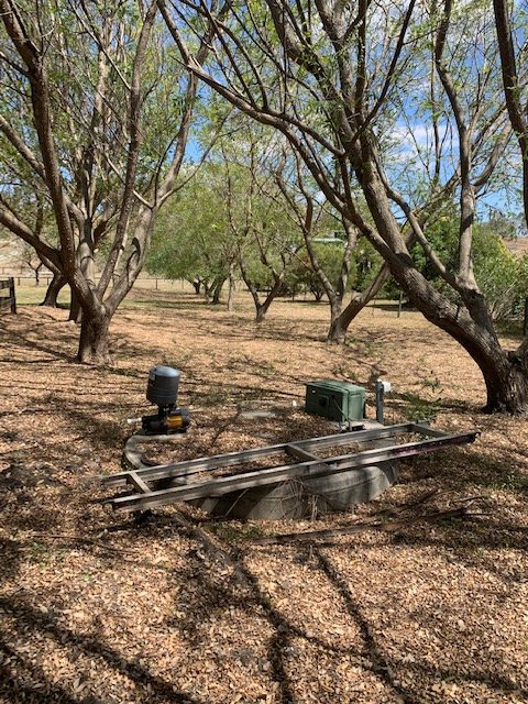 Photo - 23 Siratro Court, Veresdale Scrub QLD 4285 - Image 13