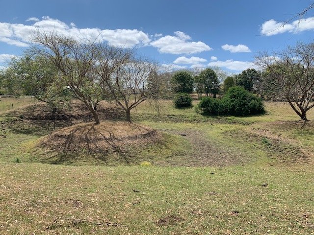 Photo - 23 Siratro Court, Veresdale Scrub QLD 4285 - Image 14