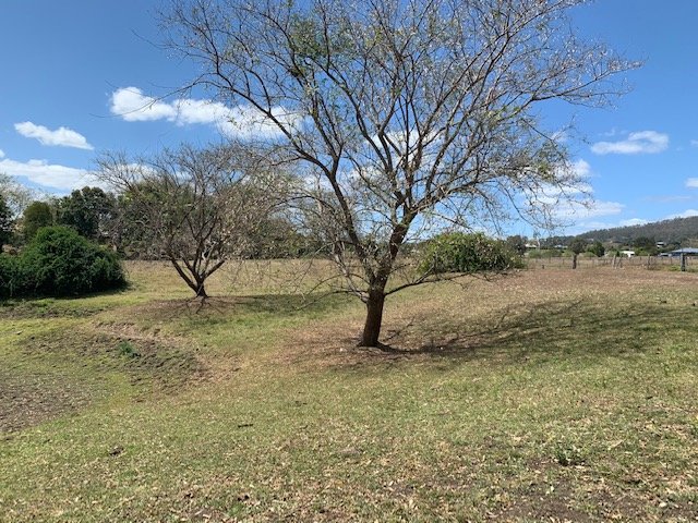 Photo - 23 Siratro Court, Veresdale Scrub QLD 4285 - Image 18