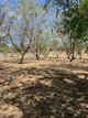 Photo - 23 Siratro Court, Veresdale Scrub QLD 4285 - Image 19