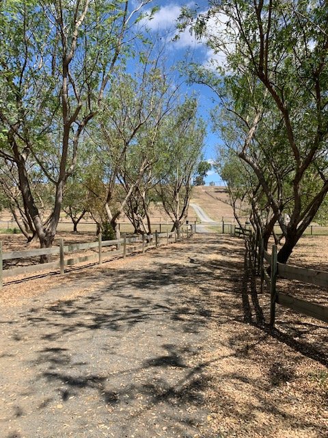 Photo - 23 Siratro Court, Veresdale Scrub QLD 4285 - Image 20