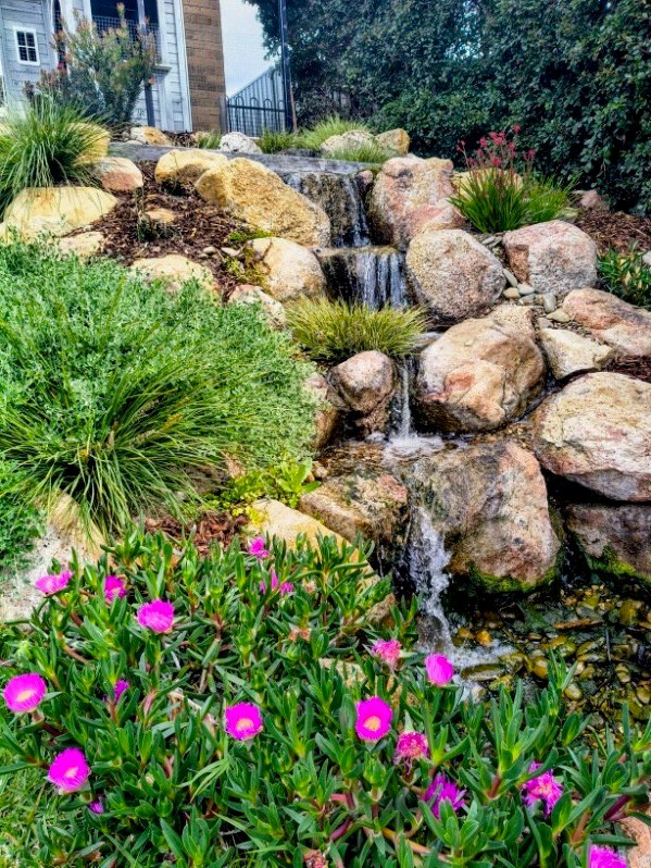 Photo - 23 Sundew Drive, Kangaroo Flat VIC 3555 - Image 16