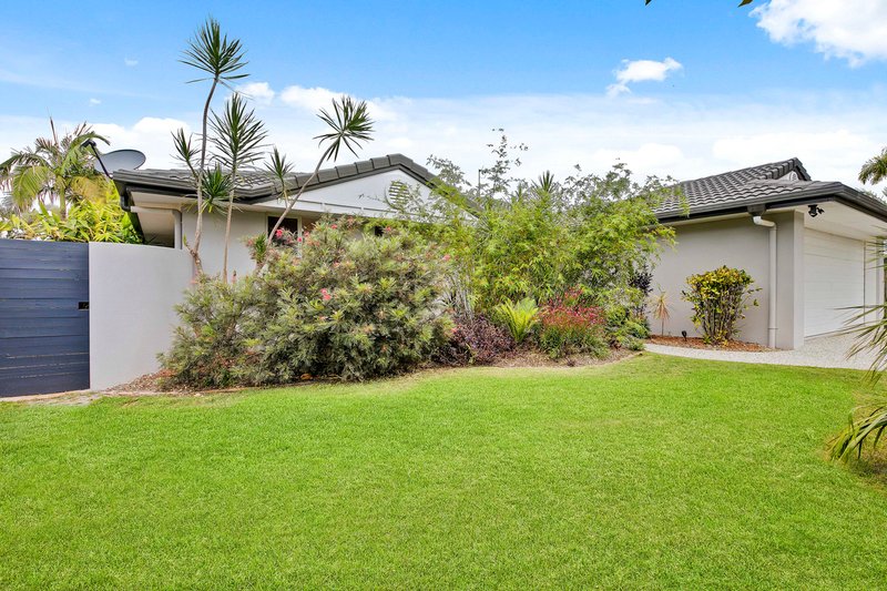 Photo - 23 Sweetbrush Place, Mountain Creek QLD 4557 - Image 19