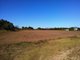 Photo - 23 Taloonda Road, Bowen QLD 4805 - Image 1