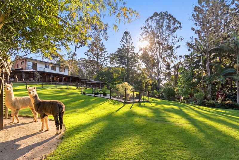 Photo - 23 The Grove, Nunderi NSW 2484 - Image 20