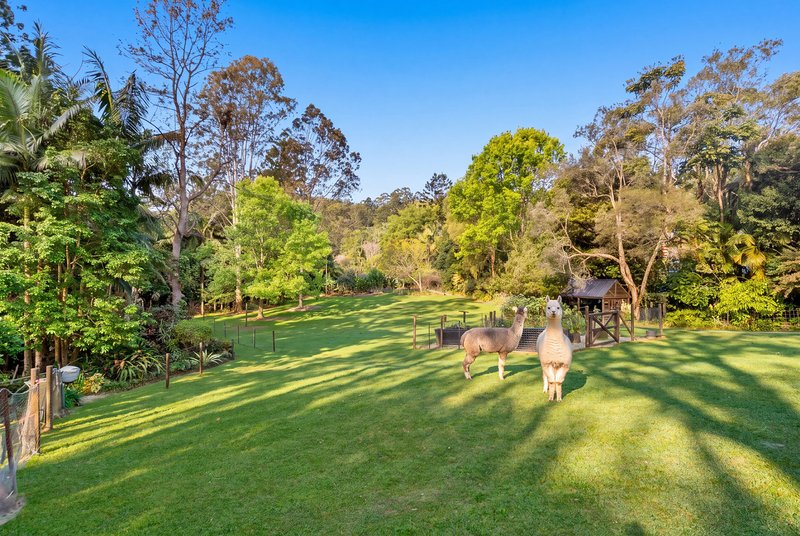 Photo - 23 The Grove, Nunderi NSW 2484 - Image 24