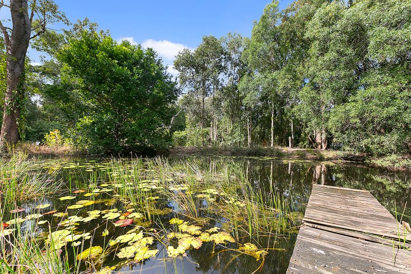 Photo - 23 Tronson Road, Ringtail Creek QLD 4565 - Image 3