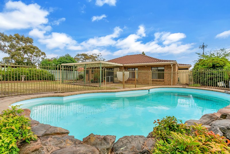 Photo - 23 Vincent Boulevard, Flagstaff Hill SA 5159 - Image 13