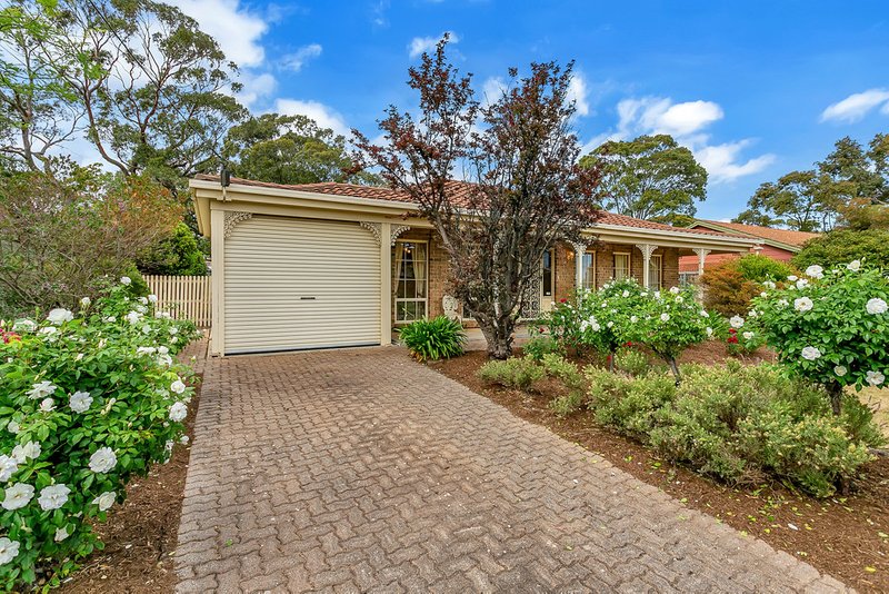 Photo - 23 Vincent Boulevard, Flagstaff Hill SA 5159 - Image 18