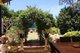 Photo - 23 Winifred Avenue, Glandore SA 5037 - Image 22