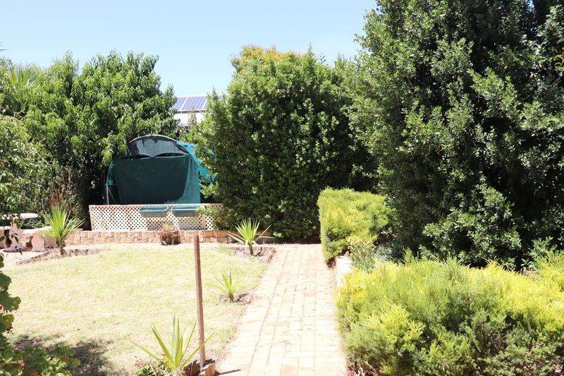 Photo - 23 Winifred Avenue, Glandore SA 5037 - Image 23