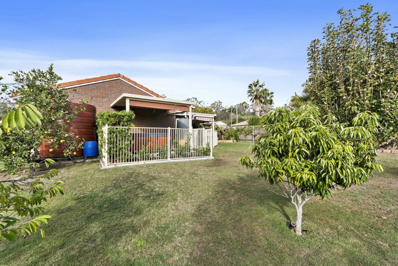 Photo - 23 Woodbine Avenue, Camira QLD 4300 - Image 10