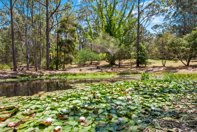 Photo - 23 Woodlands Way, Bingie NSW 2537 - Image 13