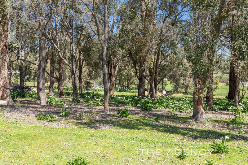 Photo - 230 Mathieson Road, Chidlow WA 6556 - Image 6