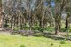 Photo - 230 Mathieson Road, Chidlow WA 6556 - Image 6