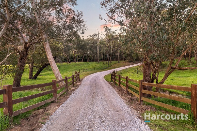 Photo - 230 Officer Road, Pakenham VIC 3810 - Image 4