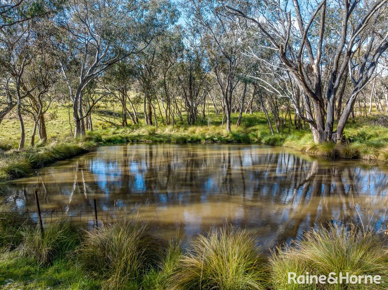 Photo - 2306 Bigga Road, Bigga NSW 2583 - Image 8