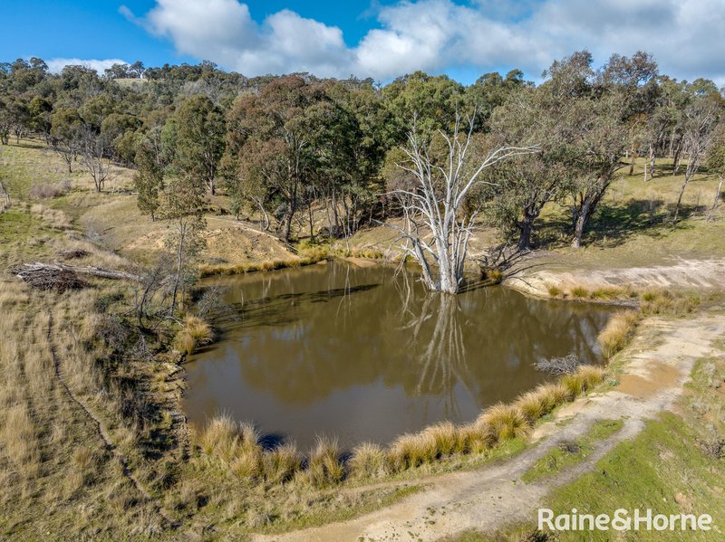 Photo - 2306 Bigga Road, Bigga NSW 2583 - Image 9