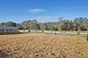 Photo - 2306 Hampshire Boulevard, Spring Farm NSW 2570 - Image 2