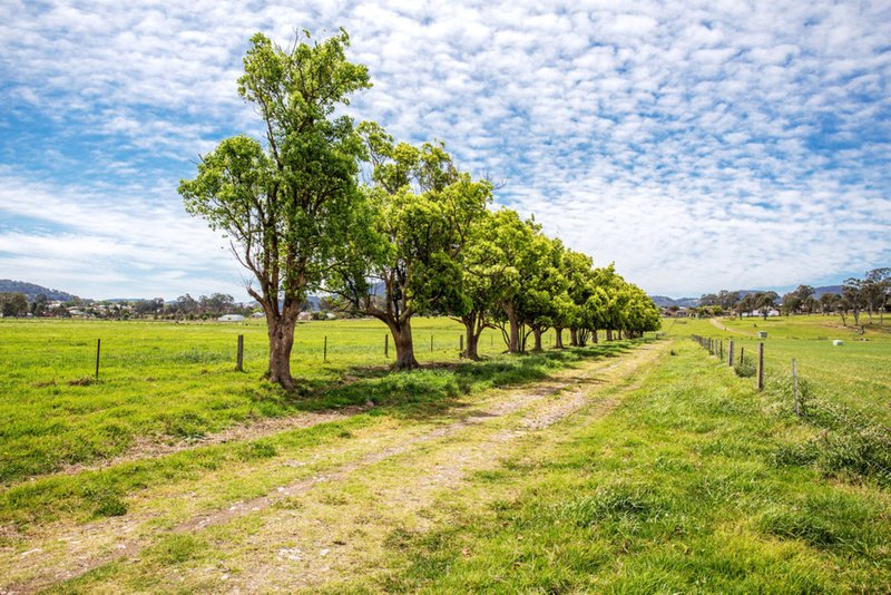 Photo - 231 Church Street 'Rushville' Street, Gloucester NSW 2422 - Image 8