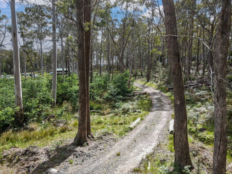 Photo - 231 Dakins Road, Gray TAS 7215 - Image 22