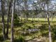 Photo - 231 Dakins Road, Gray TAS 7215 - Image 24