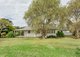 Photo - 231 Manning Point Road, Bohnock NSW 2430 - Image 5