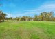 Photo - 231 Manning Point Road, Bohnock NSW 2430 - Image 15