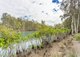 Photo - 231 Manning Point Road, Bohnock NSW 2430 - Image 16