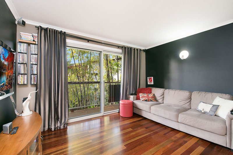 Photo - 231 Mons School Road, Buderim QLD 4556 - Image 8