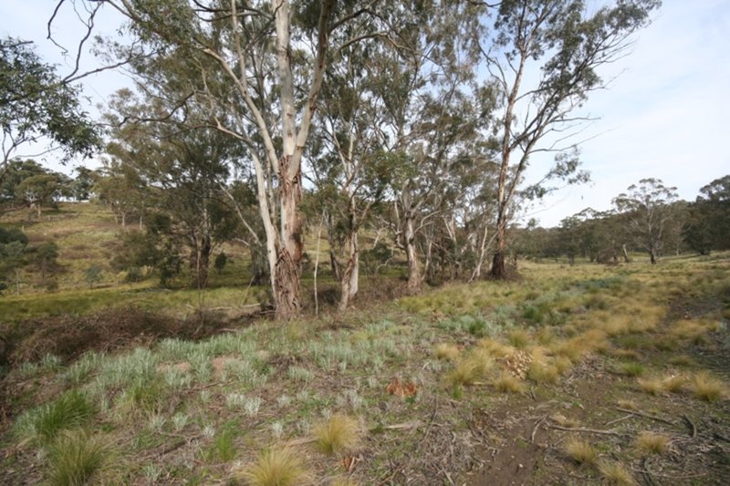 Photo - 2315 Wisemans Creek Road, Oberon NSW 2787 - Image 6