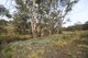 Photo - 2315 Wisemans Creek Road, Oberon NSW 2787 - Image 6