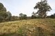 Photo - 2315 Wisemans Creek Road, Oberon NSW 2787 - Image 16