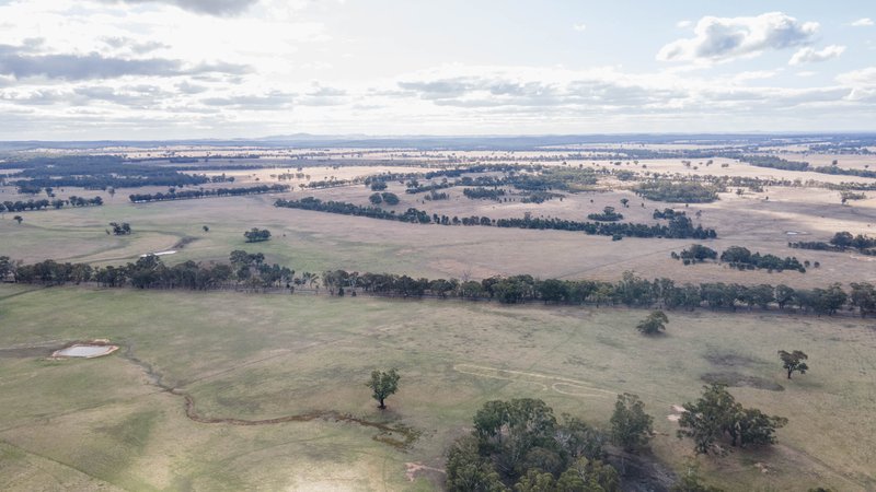 Photo - 2317 Heathcote-Nagambie Road, Graytown VIC 3608 - Image 3