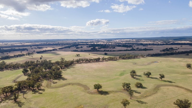 Photo - 2317 Heathcote-Nagambie Road, Graytown VIC 3608 - Image 4