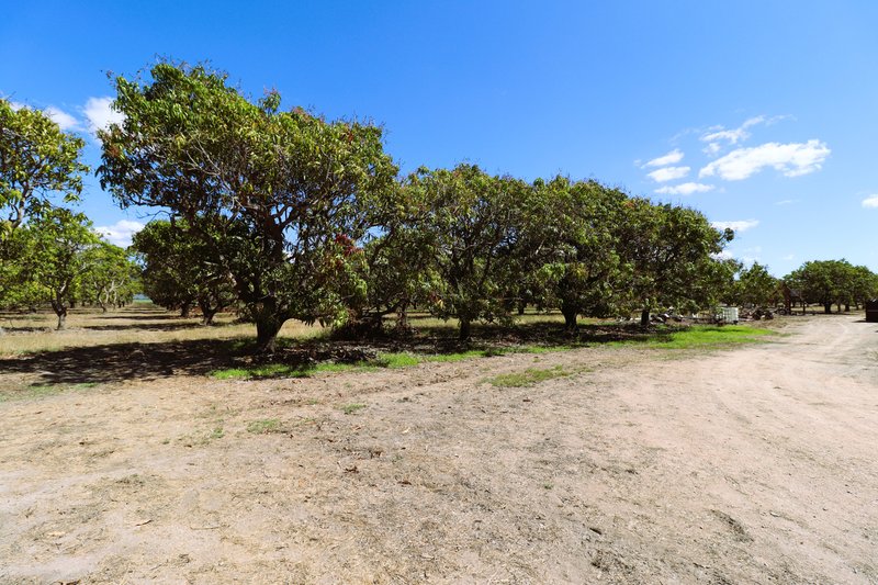 Photo - 232 Bartlett Road, Horseshoe Lagoon QLD 4809 - Image 19